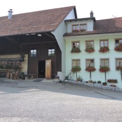 Dampfzug Hinwil Bäretswil, Besuch Museum Spinnerei Neuthal