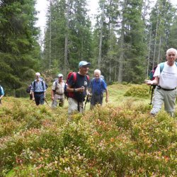 Bergtour Männerriege Bassersdorf 2014