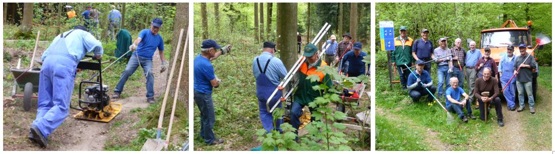 vitaparcours