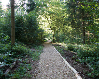 finnenbahn